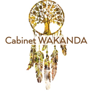 Cabinet Wakanda