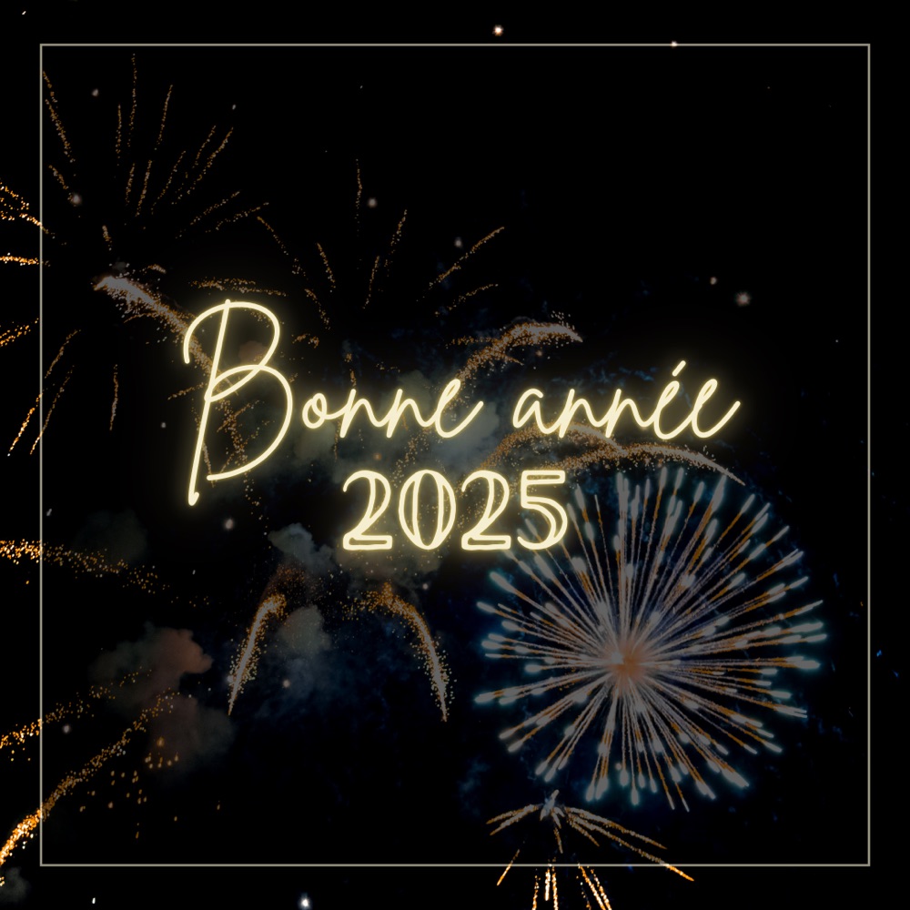 ✨ Bonne Année 2025 ! ✨